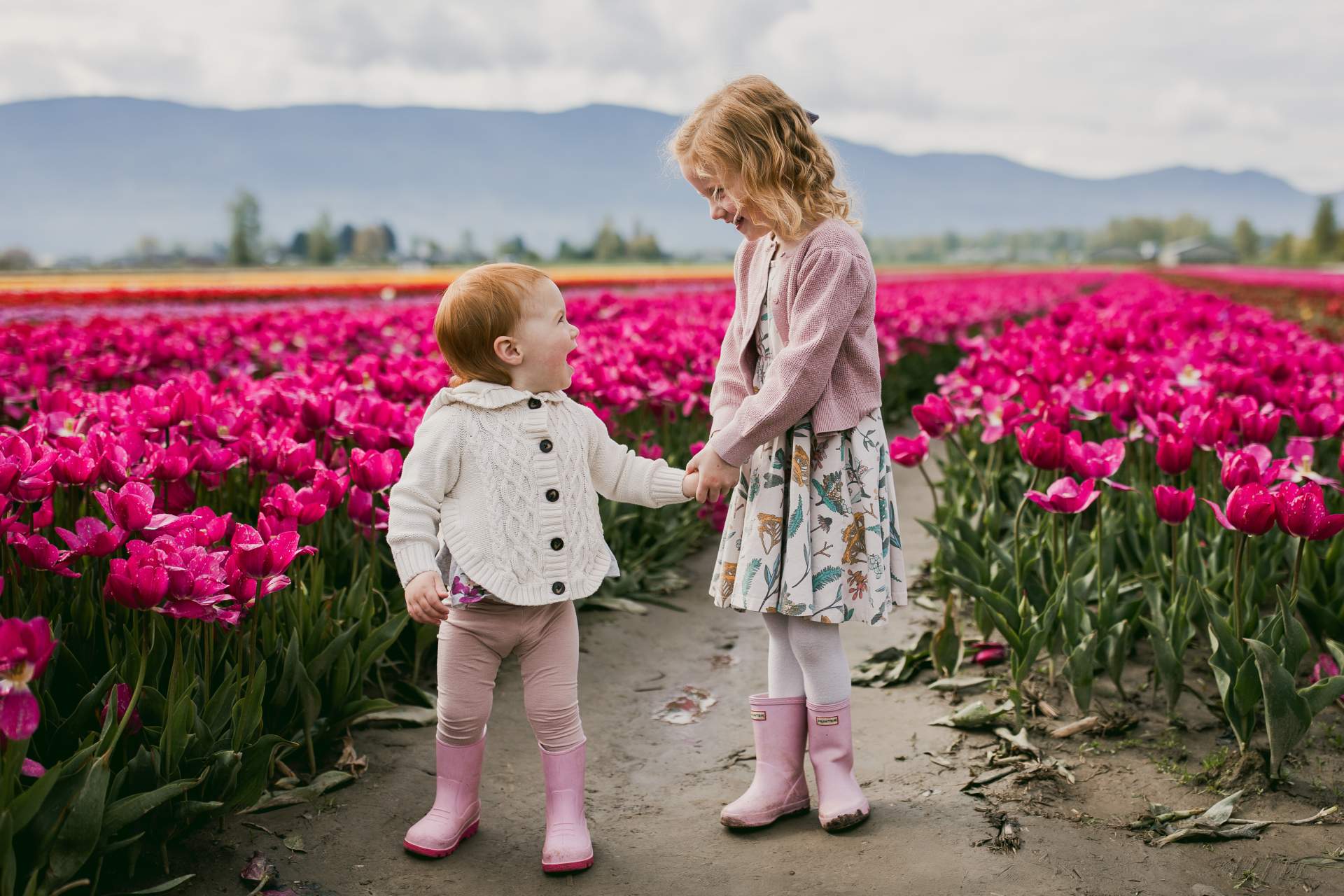 Call Out for Harrison Tulip Festival Photographers