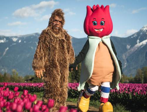 Holiday Season Sale at the Harrison Tulip Festival