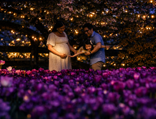 Visit Again and Again with a Season Pass or Super Pass