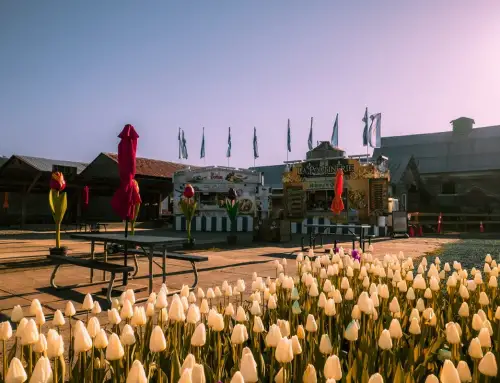 Food Truck Lineup Announced for the 2026 Harrison Tulip Festival