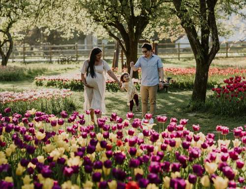 Opening April 10th for the 2026 Season